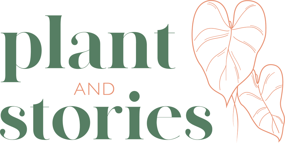 PLANT AND STORIES